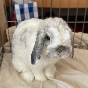 Meet your Posher, Teija